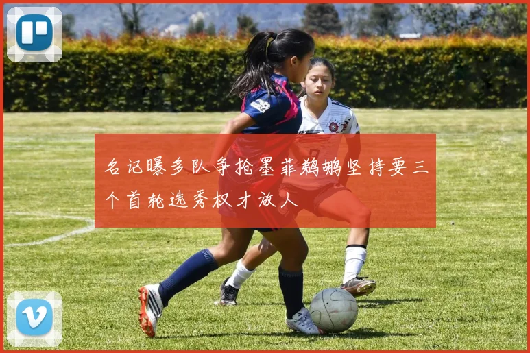 名记曝多队争抢墨菲鹈鹕坚持要三个首轮选秀权才放人