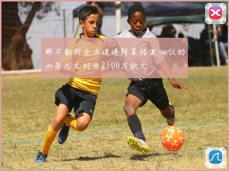那不勒斯全力追逐阿莱格里心仪的加蒂尤文标价2500万欧元