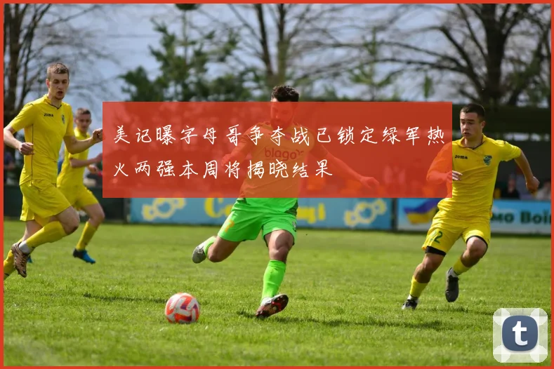 美记曝字母哥争夺战已锁定绿军热火两强本周将揭晓结果